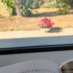 Prázdninový dům Casa Di Pino *